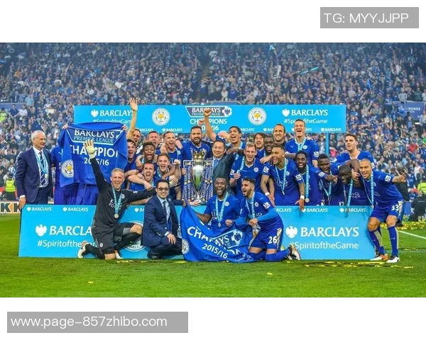 加的夫城与西汉姆联的精彩对决展现英超球队的实力与魅力 加的夫城与西汉姆联的精彩对决展现英超球队的实力与魅力